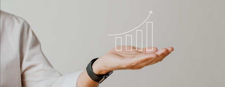 створення та підтримка сайту