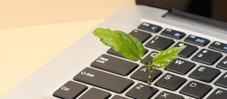 Вічно зелений контент