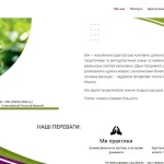 Приклад створення Landing Page — аудиторська компанія